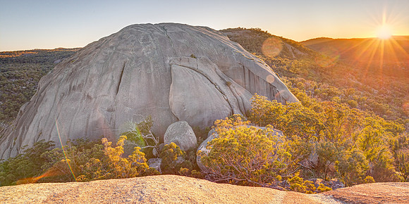 QLD, Girraween NP