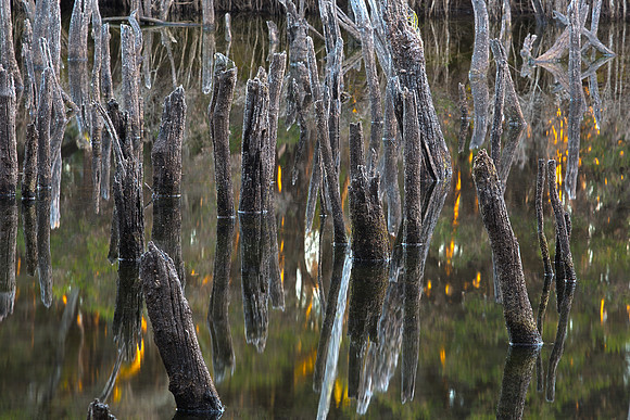 TAS, Many Reflections