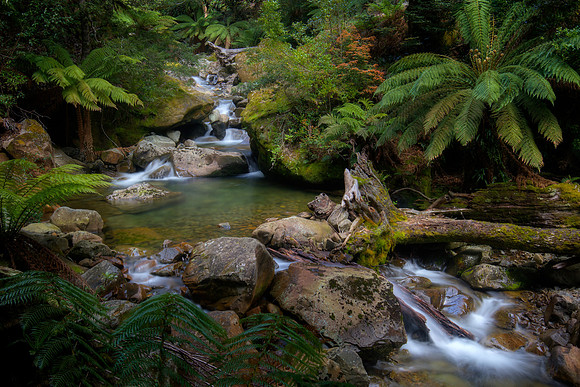 TAS, Liffey River