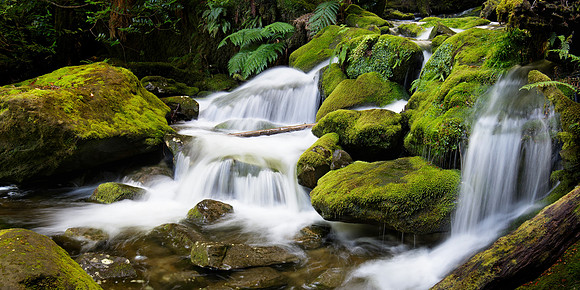 TAS, Bastion Cascades
