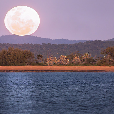 QLD, Round Island
