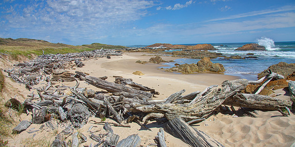 TAS, Arthur River